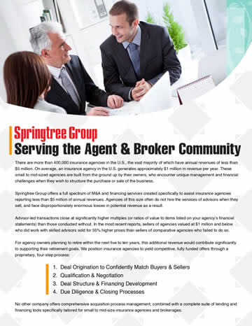 SpringtreeGroup_GeneralCapabilities image